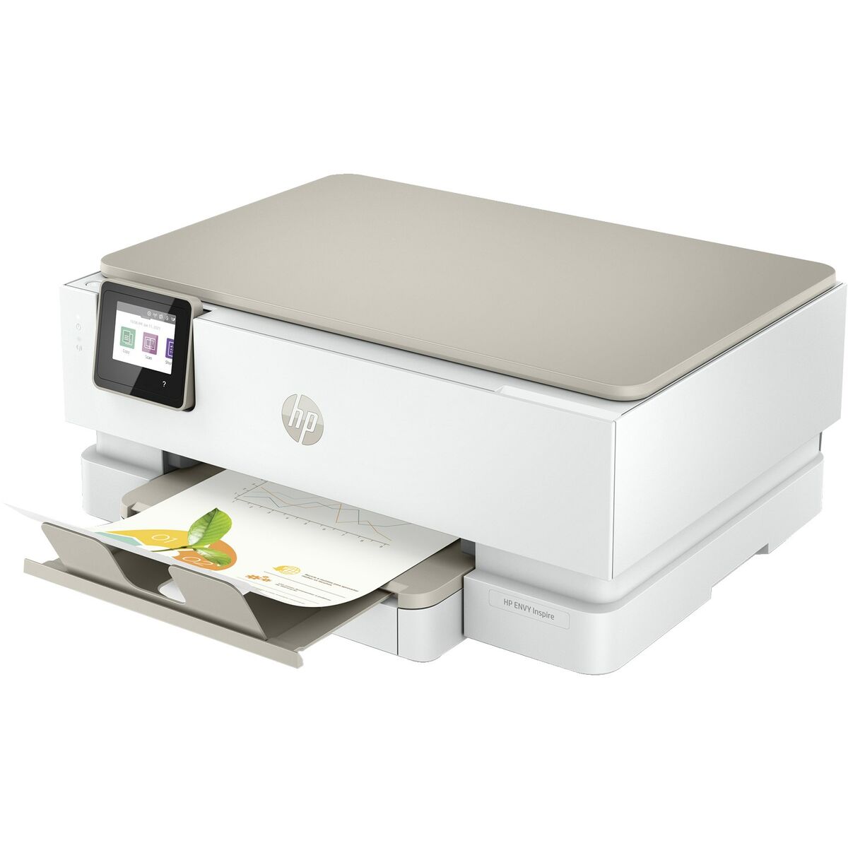 Принтер HP 242P6B V2